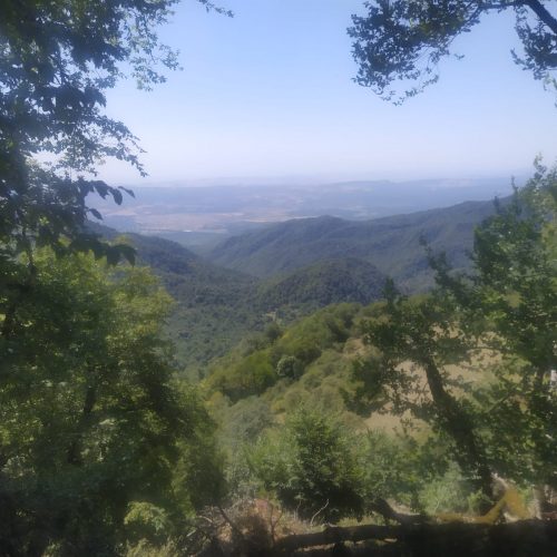 IMG-20221111-WA0091
