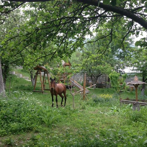 lahij-guest-house (8)